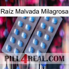 Raíz Malvada Milagrosa viagra4